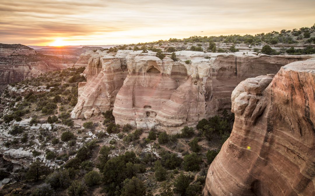 Colorado National Monument - Devon Balet Photography