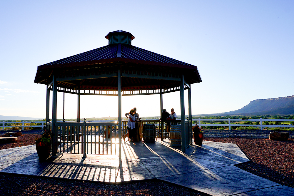 Living-in-Palisade-Grand-Valley-Overlook