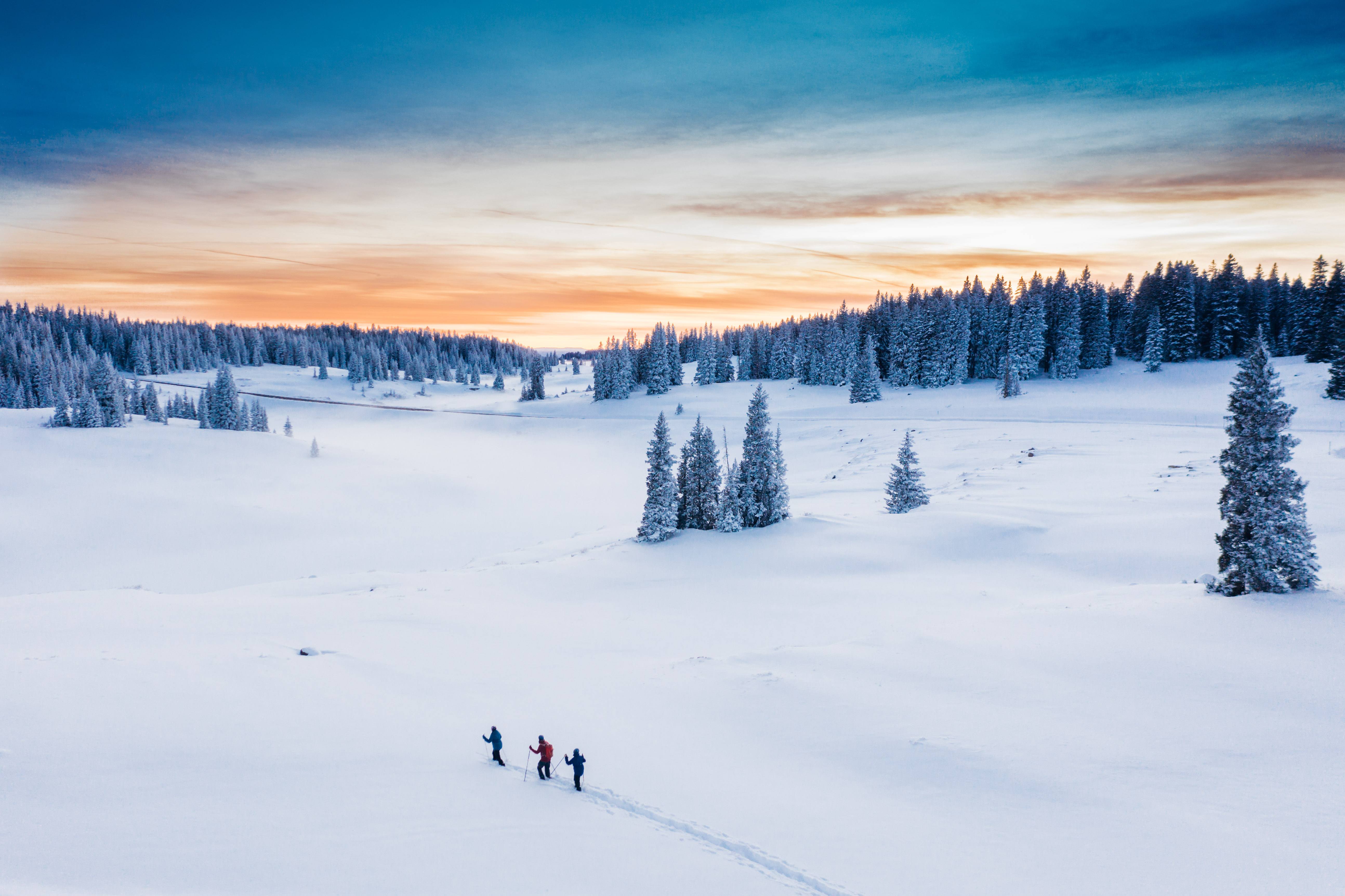 DJI_0216